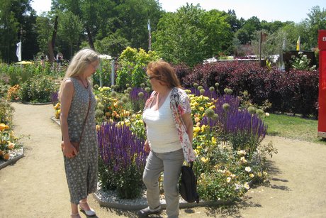 Gartenschau Alzenau