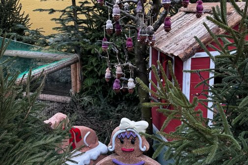 Hellbrunner Adventszauber Hellbrunner Adventszauber