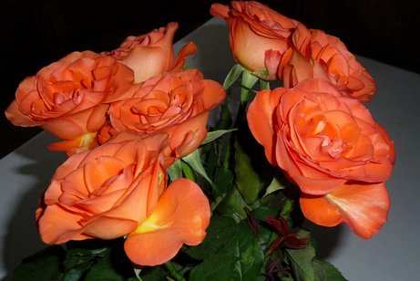 Rosenstrau&szlig;