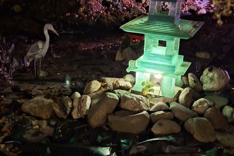 Buntes Allerlei Buntes Allerlei