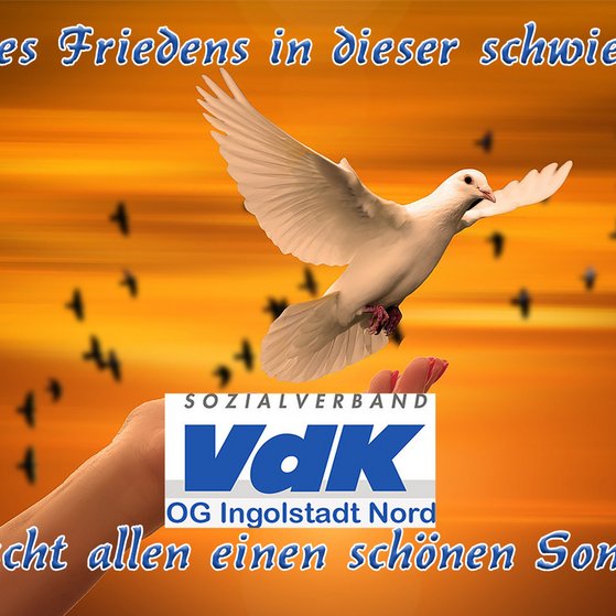 Orangfarbener Hintergrund mit dunklen Elementen.