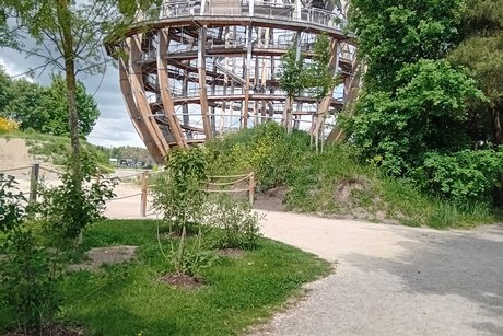 Jahresausflug des VdK : Von Steinberg am See bis zu den Schwandorfer Felsenkellern Jahresausflug des VdK : Von Steinberg am See bis zu den Schwandorfer Felsenkellern