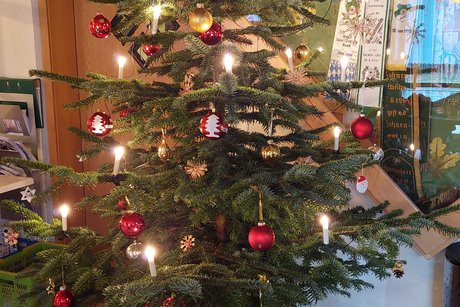 geschmückter Weihnachtsbaum