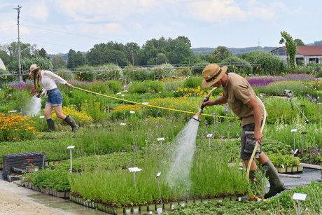 Viel Arbeit steckt hier dahinter! Viel Arbeit steckt hier dahinter!