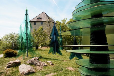 Regen - Gläserner Wald Regen - Gläserner Wald