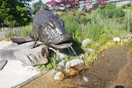 Park Dehner Gartencenter Fisch