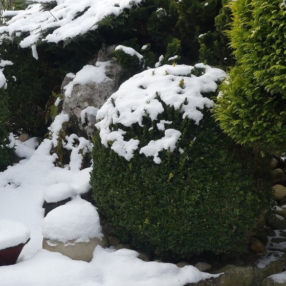 Es ist wieder einmal Winter