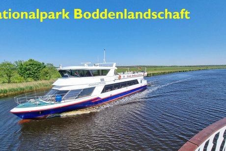 Ein Schiff im Nationalpark Boddenlandschaft