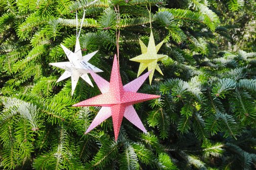 Papiersterne am Tannenbaum