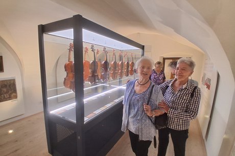 verschieden historische Geigen und Bratschen von verschiedenen alten Geigenbaumeistern aus Europa