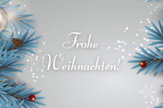 wir wünschen allen Mitgliedern ein frohes Weihnachtsfest