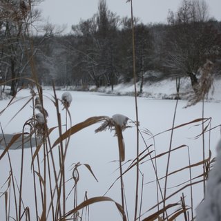 Winterlandschaft