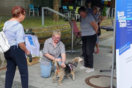 Infostand des VdK Waldkraiburg im Juni 2024