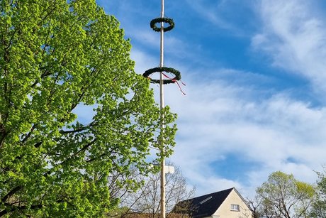 Maibaum 2025 Maibaum