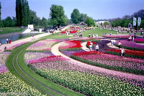 Das Bild zeigt die Aufnahme eines Blumenmeeres auf der Bundesgartenschau