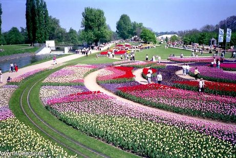 Das Bild zeigt die Aufnahme eines Blumenmeeres auf der Bundesgartenschau