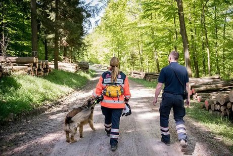 Bild mit Rettungshund