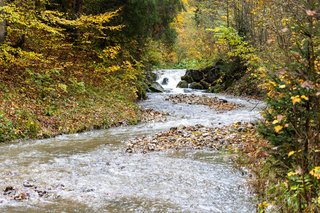 Bachlauf