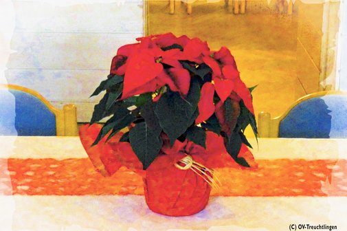 Eine Grafik mit einem roten Weihnachtsstern in einem rotem Topf der auf einem Tisch steht.
