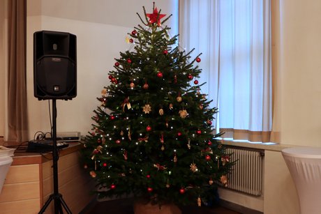 Festlich geschm&uuml;ckter Weihnachtsbaum