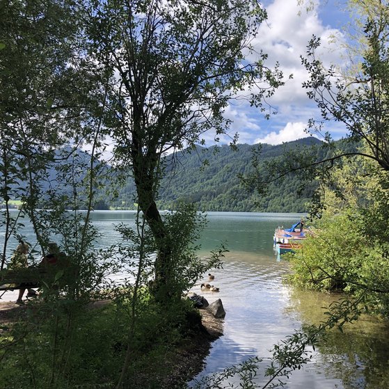 Schliersee Schliersee