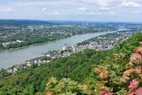 Blick vom Drachenfels auf den Rhein bei K&ouml;nigswinter