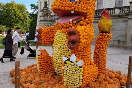 Eichhörnchen Eichhörnchen