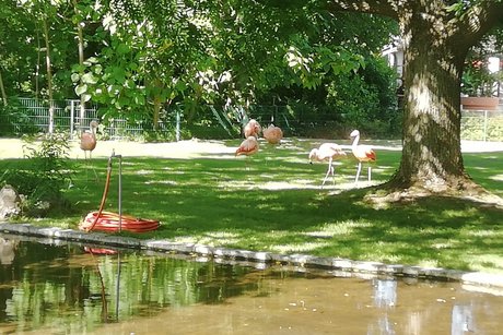 Park Dehner Gartencenter Flamingos
