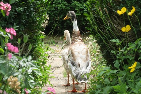 Hier ist unser Revier! Hier ist unser Revier!