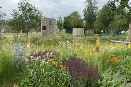 Blühendes Feld auf des Landesgartenschau