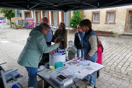 Beim Gewinnspiel wurde fleißig geraten Helga Minks am VdK Info Stand beim Ausfüllen von Gewinnteilnahmezetteln