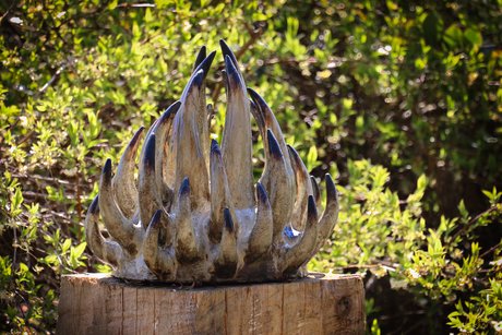 Zerbrechliche Artischocke? Zerbrechliche Artischocke?