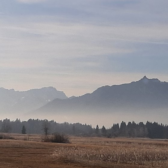 Die Vorstandschaft des VdK Ortsverbandes Murnau wünscht allen ein gesundes und glückliches neues Jahr. Ein gesundes neues Jahr