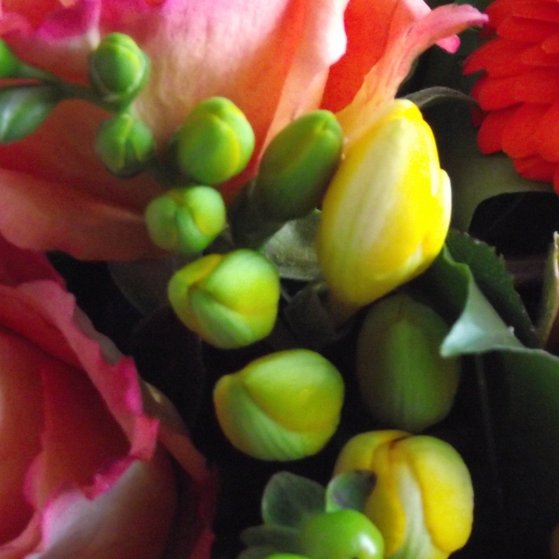 Blumen Blumenstrauß