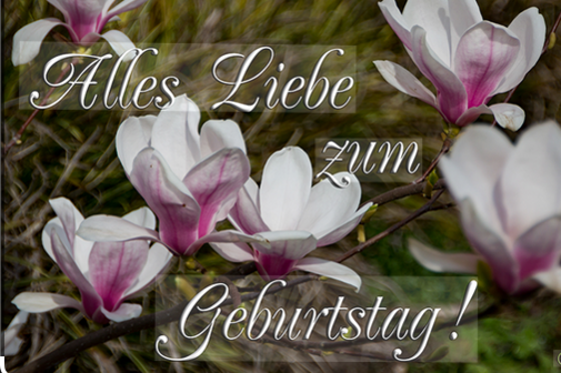Geburtstagsgr&uuml;&szlig;e f&uuml;r den M&auml;rz 2026, im Bild Fr&uuml;hlingserwachen