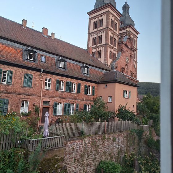 ehemalige Abteikirche jetzt fürstliche Abtei