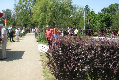 Gartenschau Alzenau