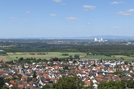 Blick den Weinbergen über Hörstein Blick den Weinbergen über Hörstein