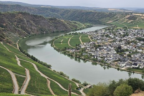 Ausblick auf die Mosel