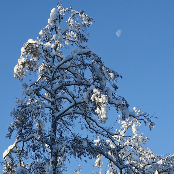 Ein gutes neues Jahr!