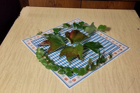 Standesgem&auml;&szlig;e Wies'n - Dekoration