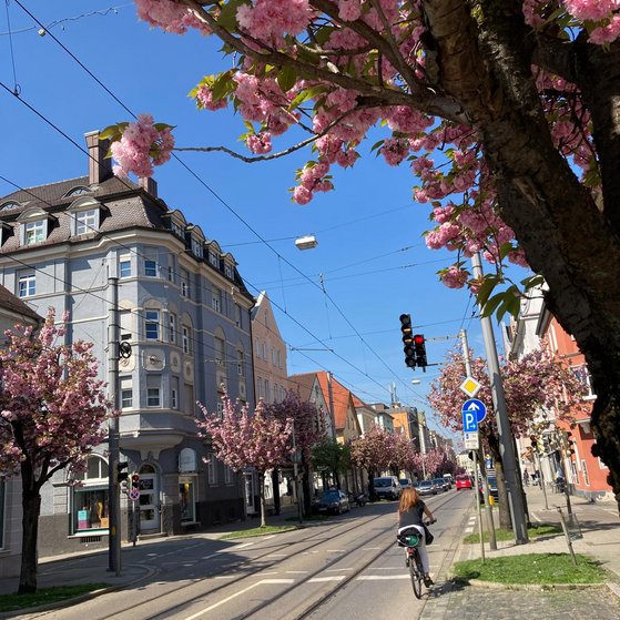 Fr&uuml;hjahr Ulmerstra&szlig;e