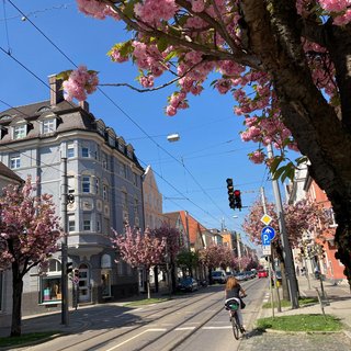 Frühjahr Ulmerstraße