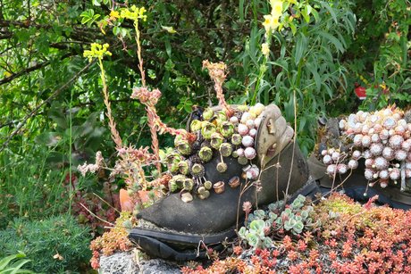 Immer noch nützlich Immer noch nützlich