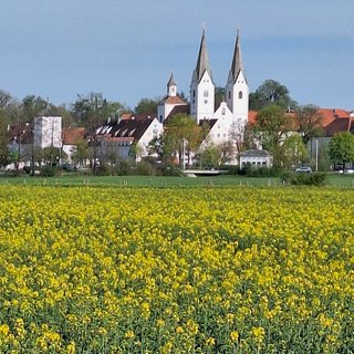 Ansicht der Klosterkirche Indersdorf von Westen