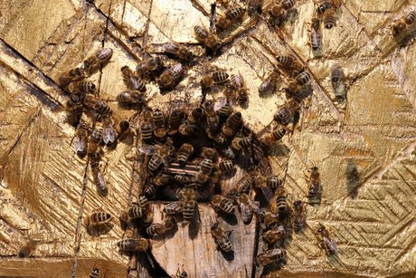 flei&szlig;ige Sammler