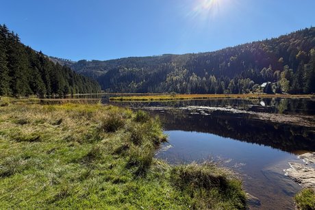 Der kleine Arbersee mitten im Bayerischen Wald