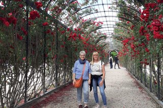 Abgebildet sind Reiseteilnehmer im Rosengarten Wien