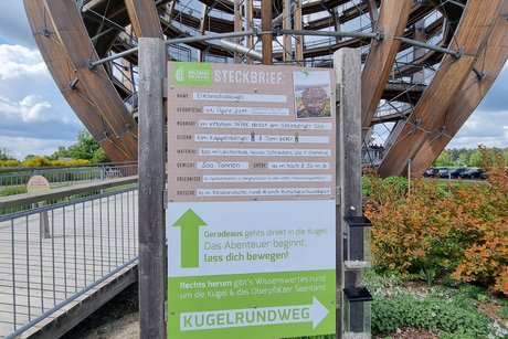 Jahresausflug des VdK : Von Steinberg am See bis zu den Schwandorfer Felsenkellern Jahresausflug des VdK : Von Steinberg am See bis zu den Schwandorfer Felsenkellern