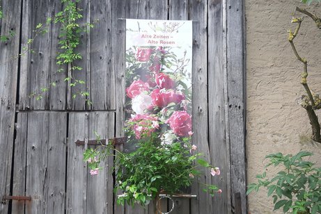 Rosengartenfahrt nach Kolitzheim